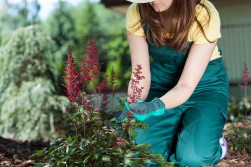 Manager reviewing gardening works on site during investigation