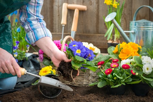Summer garden upkeep with irrigation